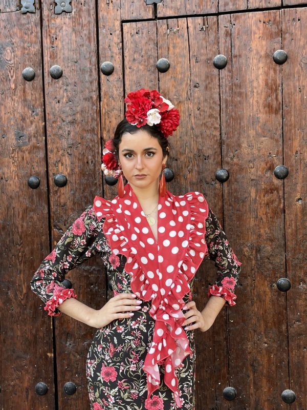 Clavel - Imagen 2